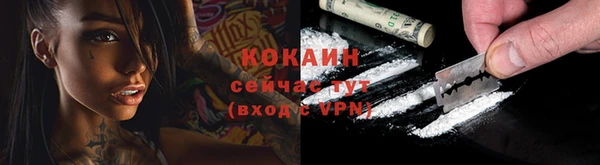 прущие грибы Верея