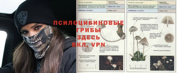 MDMA Premium VHQ Волосово