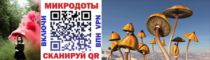 Галлюциногенные грибы MAGIC MUSHROOMS  Енисейск 